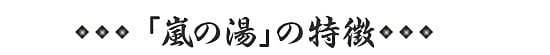 嵐の湯の特徴 嵐の湯の特徴